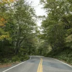 great american mountain rally revived eldred ny