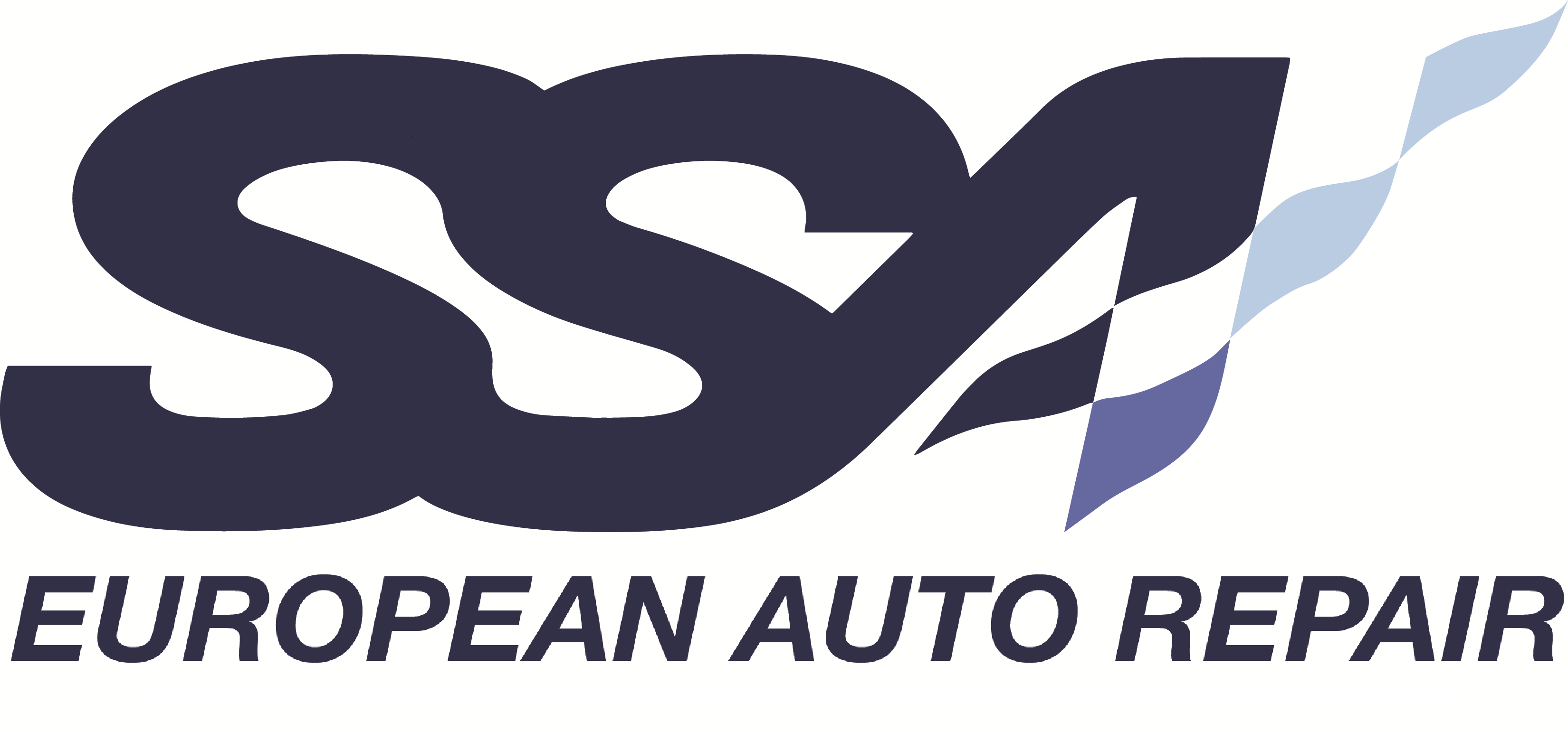 Tech Session and F1 Viewing Party - SSA European Auto Repair